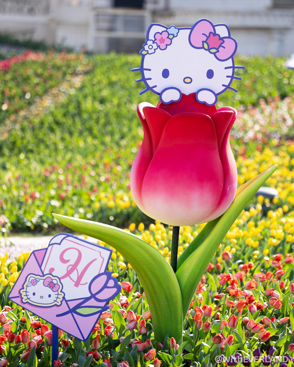 一眾人氣超高的Sanrio卡通人物,包括Hello Kitty、Kuromi、My Melody、布甸狗、肉桂狗、PC狗及Little Twin Stars,以不同的形式及地點超萌登場!