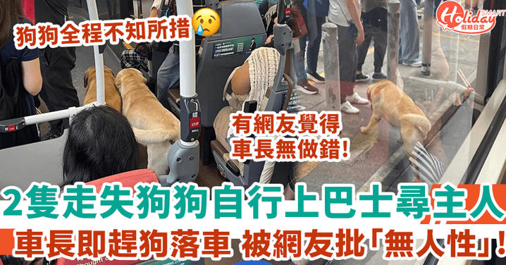 2隻狗狗疑走失 自行上巴士尋主人慘被車長趕落車 網友反應兩極惹罵戰！