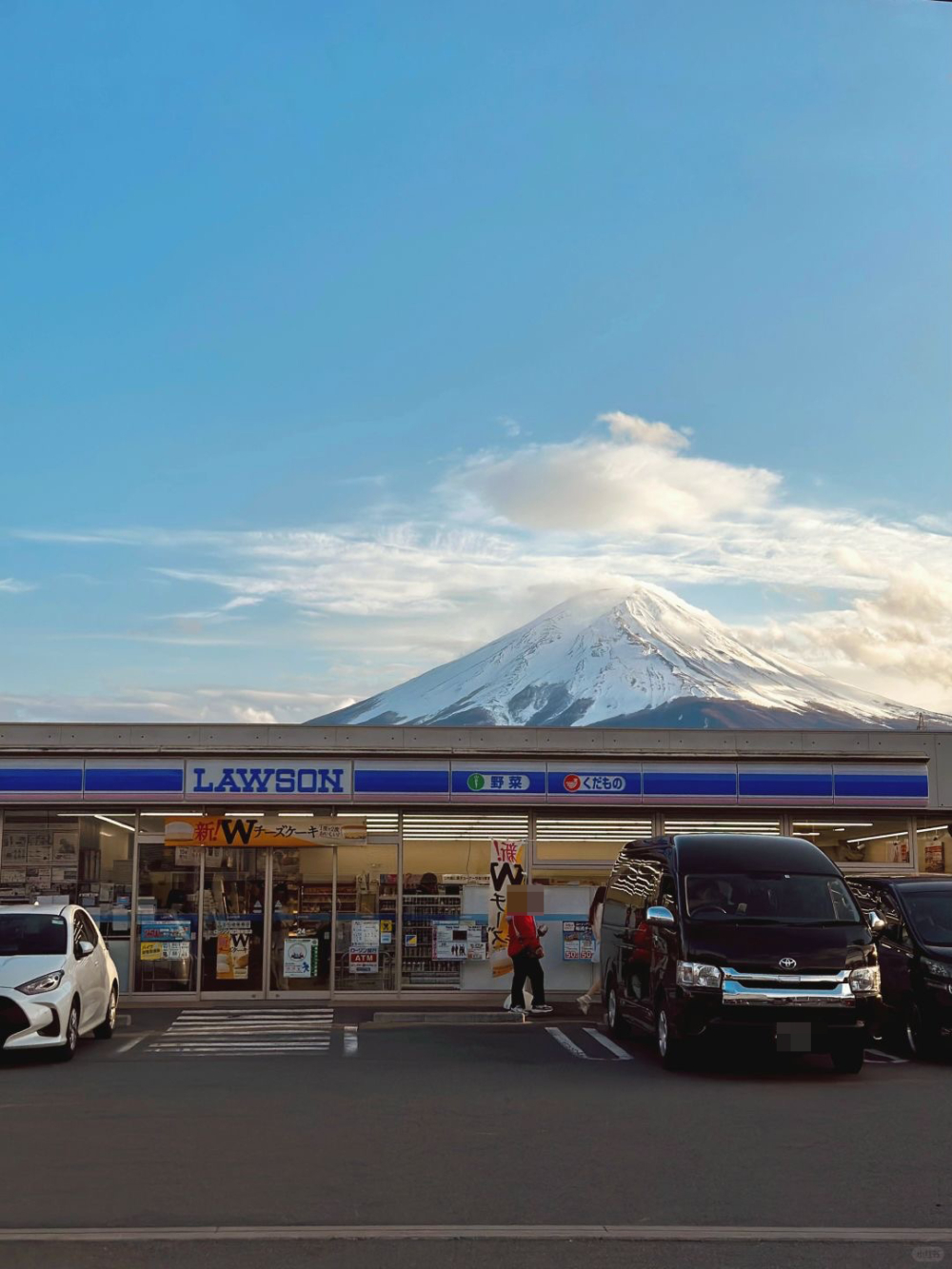 然而，反對者則認為這樣的做法太過極端