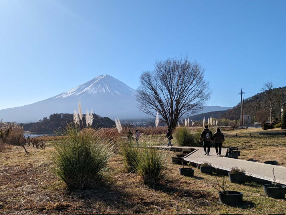 大石公園內設有長達350米的「花街道」,全年可觀賞到逾90種美麗四季花卉!