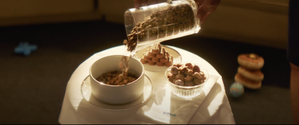 狗狗可以在飛行前的休息區進行社交活動