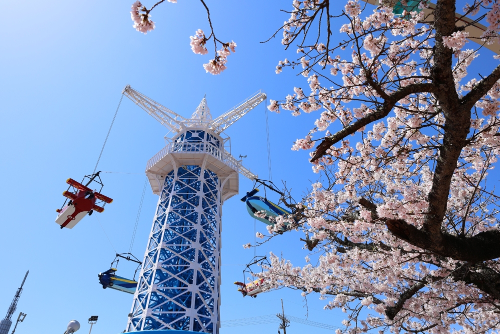 乘搭電車至「生駒站」,步行約3分鐘,可抵達纜車所在的「鳥居前站」,再乘搭生駒纜車至「宝山寺站」,再轉搭擁有繽紛色彩圖案的纜車前往「生駒山上站」