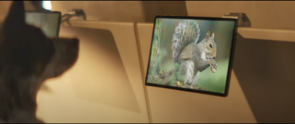 主人只要幫狗狗預定好機票,到時候便會有專門的禮賓人員進行聯繫