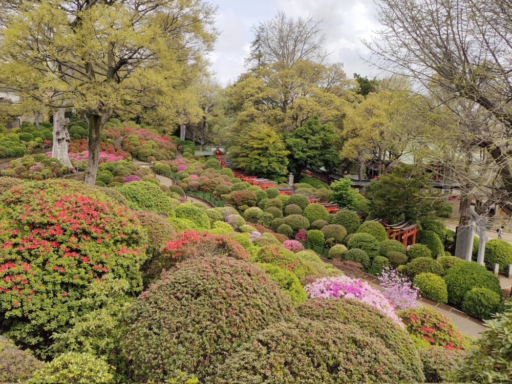 進入杜鵑花苑後,不能出去再進入~