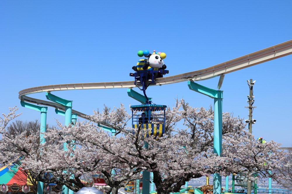 超萌的單軌電車「普卡普卡熊貓」!