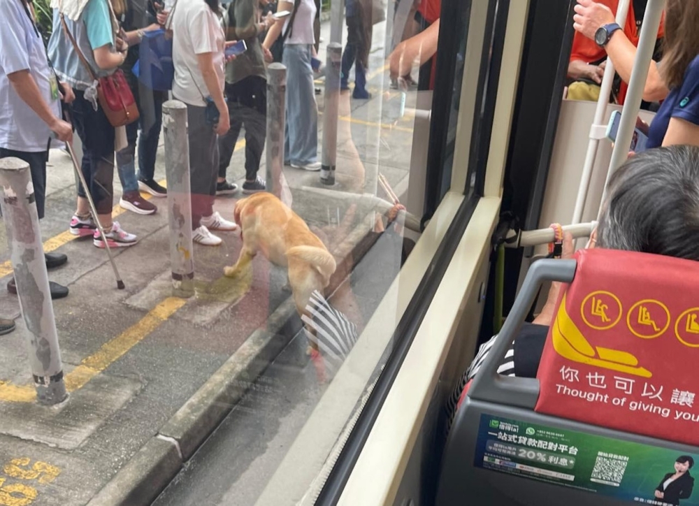 另一張照片則見到狗狗已經被趕落車，走回行人路上。