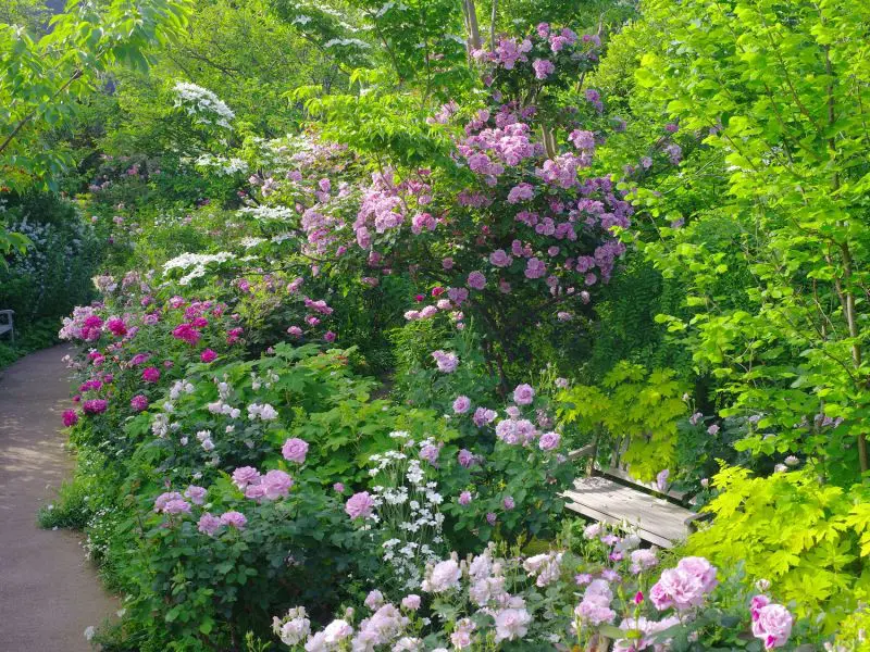 橫濱英式公園。
