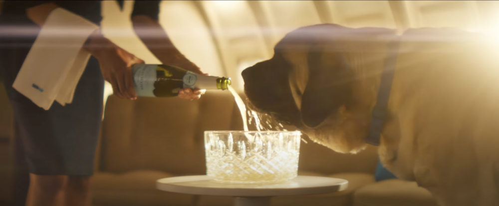 旅程中狗狗還能飲用特殊飲料,享用鎮靜零食