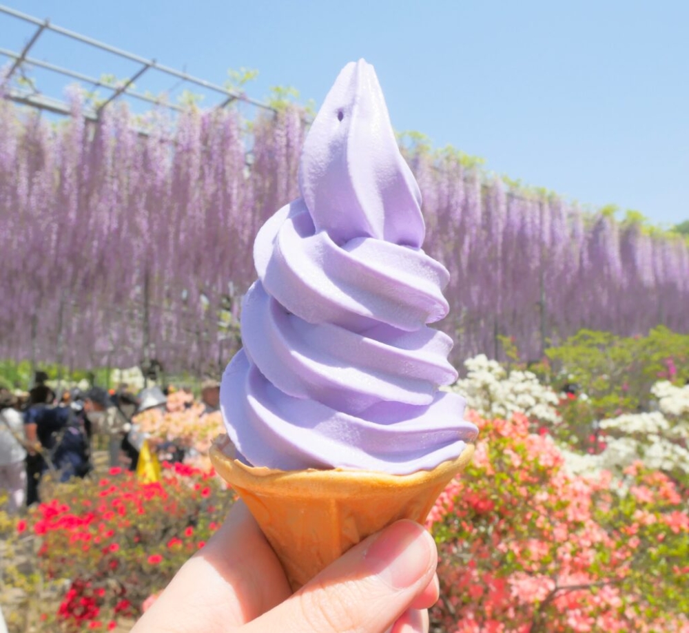 顏色超粉嫩的紫藤花軟雪糕！