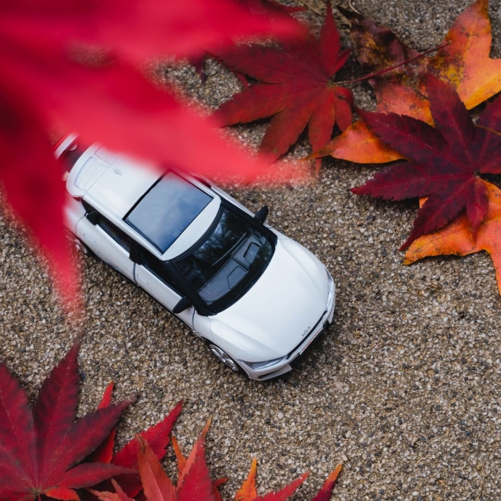 建議收藏幾個緊急聯絡方式，以防萬一～