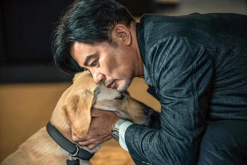 根據九巴規定，除了陪同失明人士乘車的導盲犬外，乘客不可攜帶活禽鳥、寵物或其他動物上車。