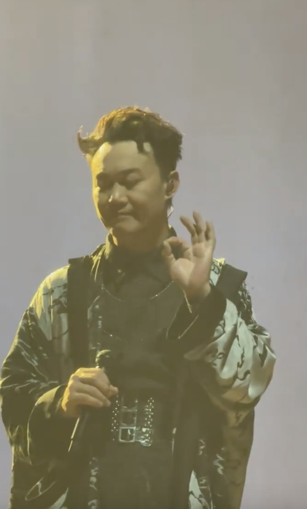 有現場觀眾接受內地媒體訪問時就稱，該名女觀眾坐在第一排，多次大喊大叫