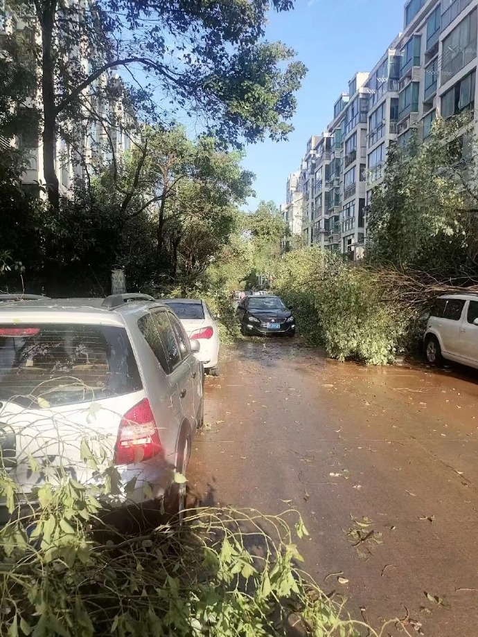 3月31日內地南昌市遭受了強對流和暴雨的侵襲，街燈、路牌被毀，樹木被拔起，部分路段也出現了水浸情況。