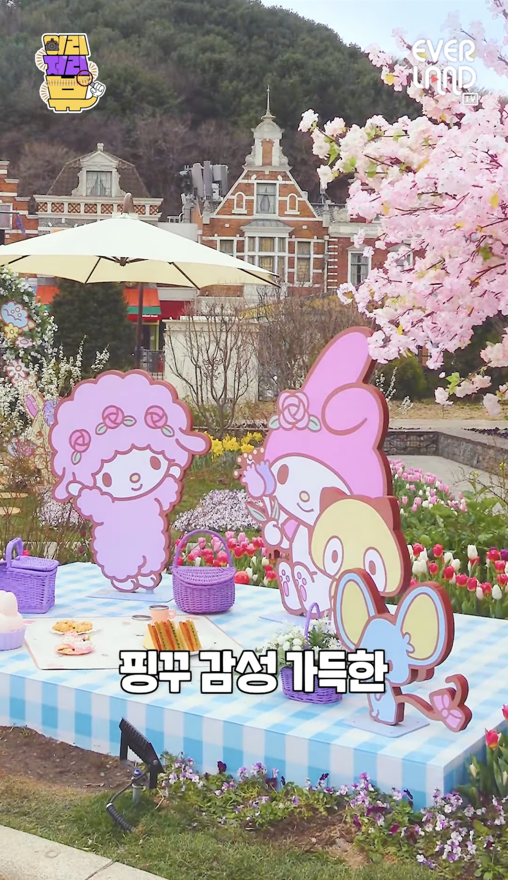 My Melody‘s Romantic Picnic~
