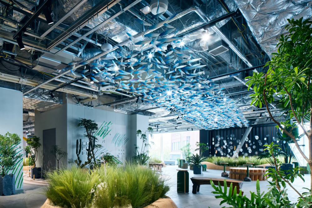 不設限的展演空間「HARAPA」！