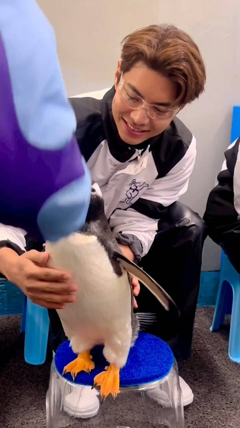 羅天宇晒過企鵝合照