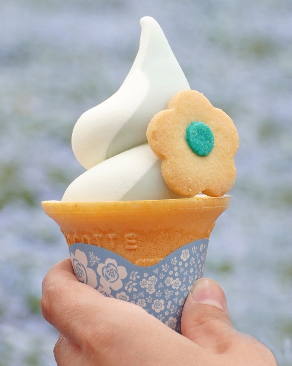 以花花曲奇點綴的季節限定「粉蝶花軟雪糕」，超可愛！