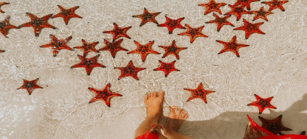 海星沙灘。