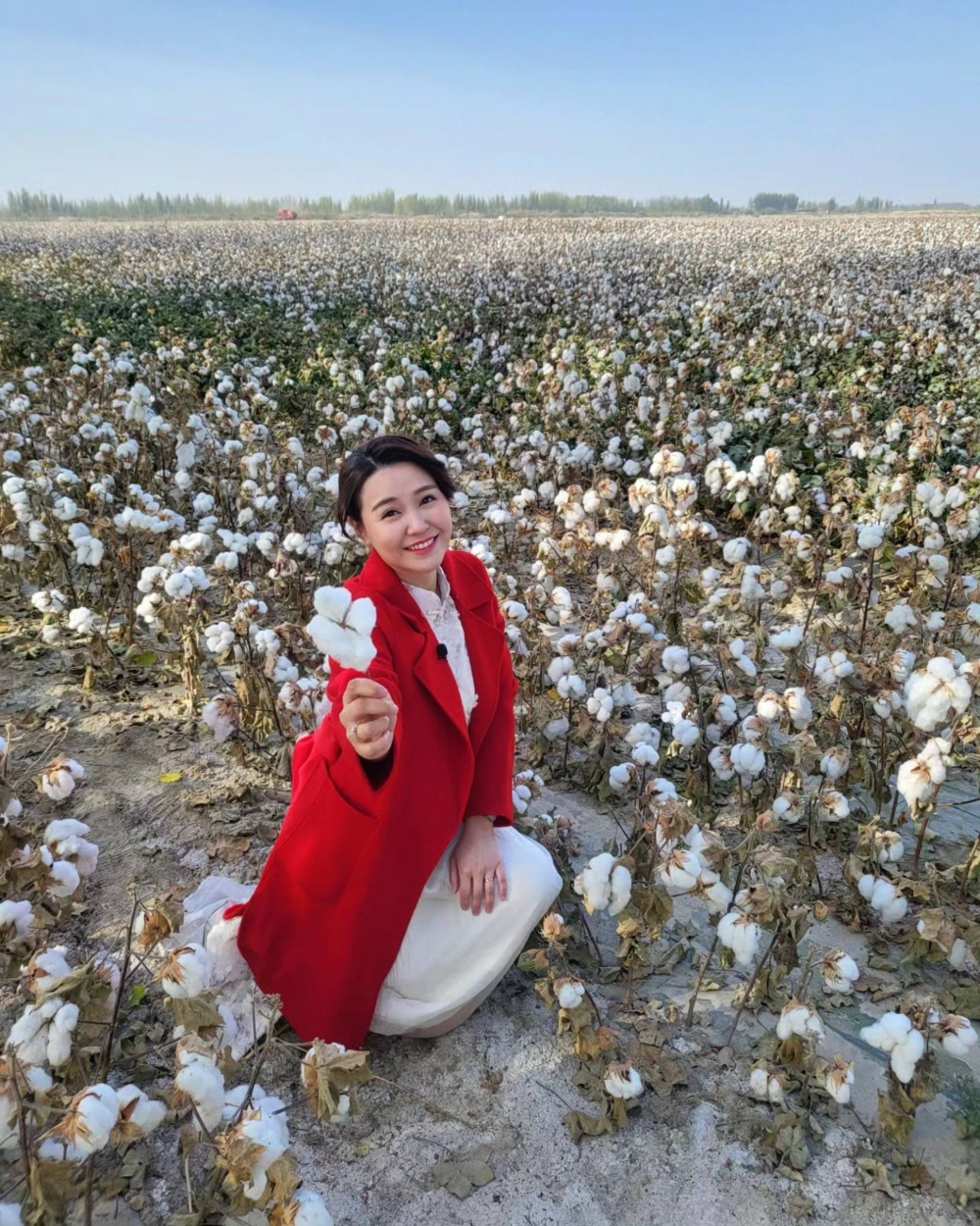 雖然辭去政府工作，黃穎君仍積極參與政治與社會活動，參觀新疆棉田