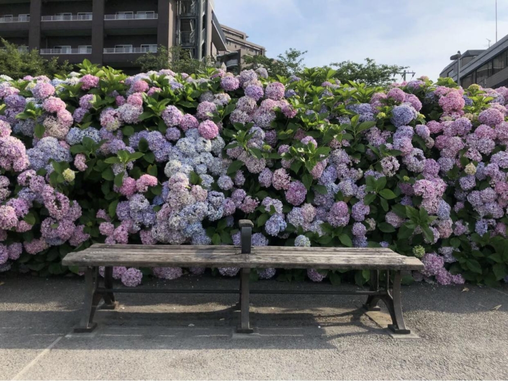 舊中川水邊公園。