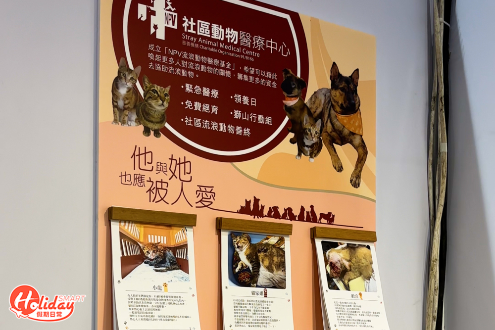 寵物展2024動物組織NPV。