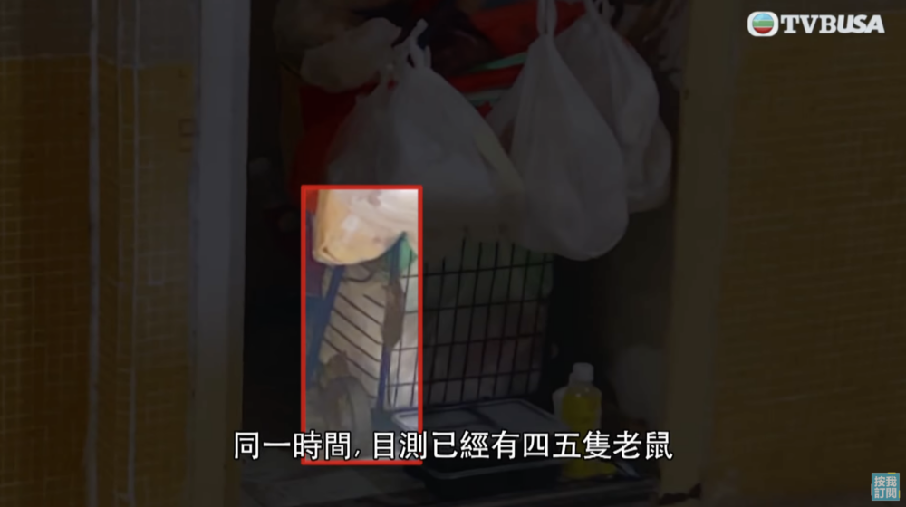 門口的手推車也有很多老鼠出沒