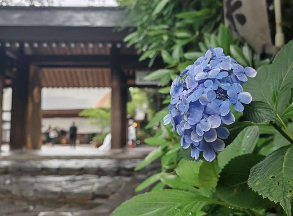 阿佐谷明神宮。