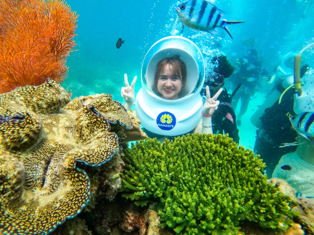 體驗在海底世界漫步，近距離觀賞超過250種五顏六色的珊瑚及奇特海洋生物！