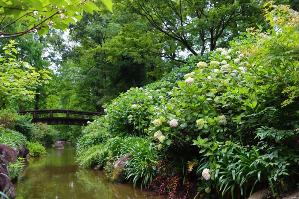 大阪市立長居植物園。