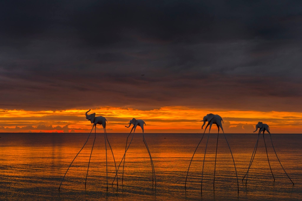 海灘上設有各種不同的藝術裝置，包括人氣最高的長腳象、長腳水母及長腳鯊等！