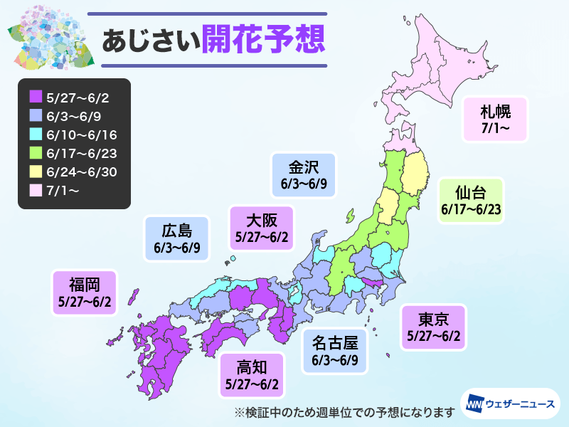 日本氣象新聞公司Weathernews預測今年的繡球花會提早開花，最早5月下旬有得睇！