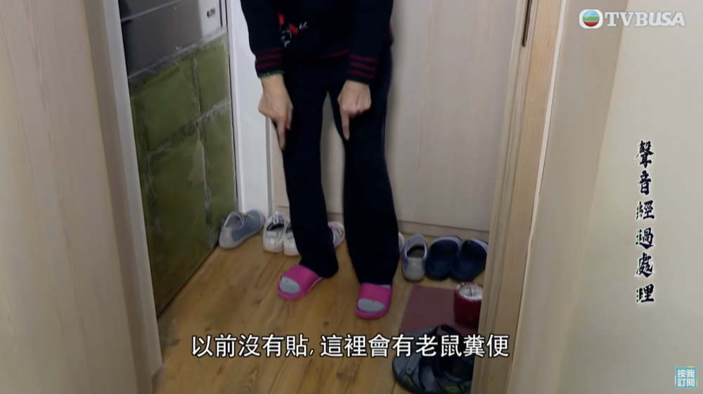 封好鐵閘以免老鼠會跑到他們家。