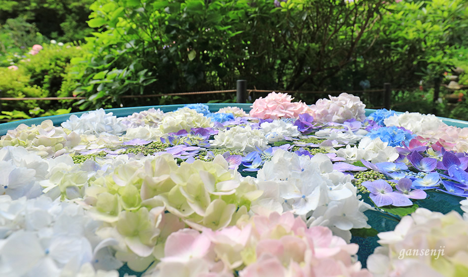 四面環山的岩船寺，一年四季可觀賞不同花卉，又稱「花寺」。