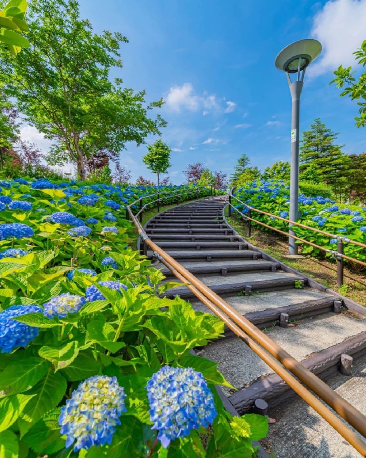 Symbol Promenade公園 。