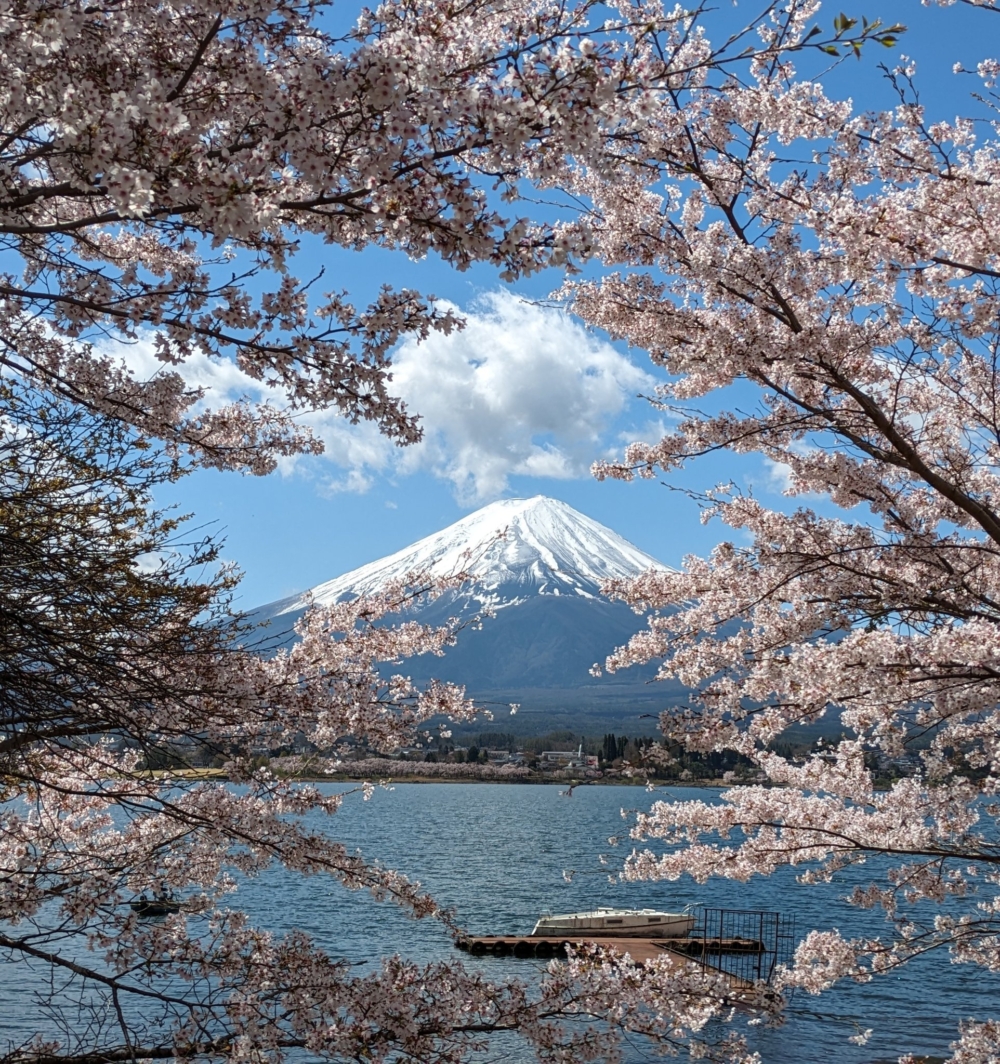 日本富士河口湖町擬向遊客徵收住宿稅!