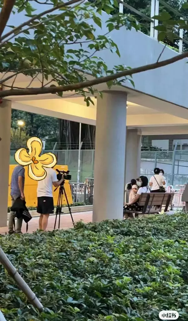 有網友發現原來早前被傳已回內地避風聲的新何太已經回港