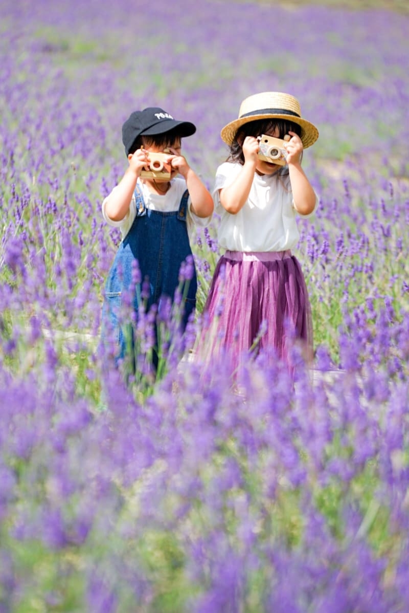 薰衣草是日本夏天最具代表性的花之一,其中以6月至7月的盛開期最美~