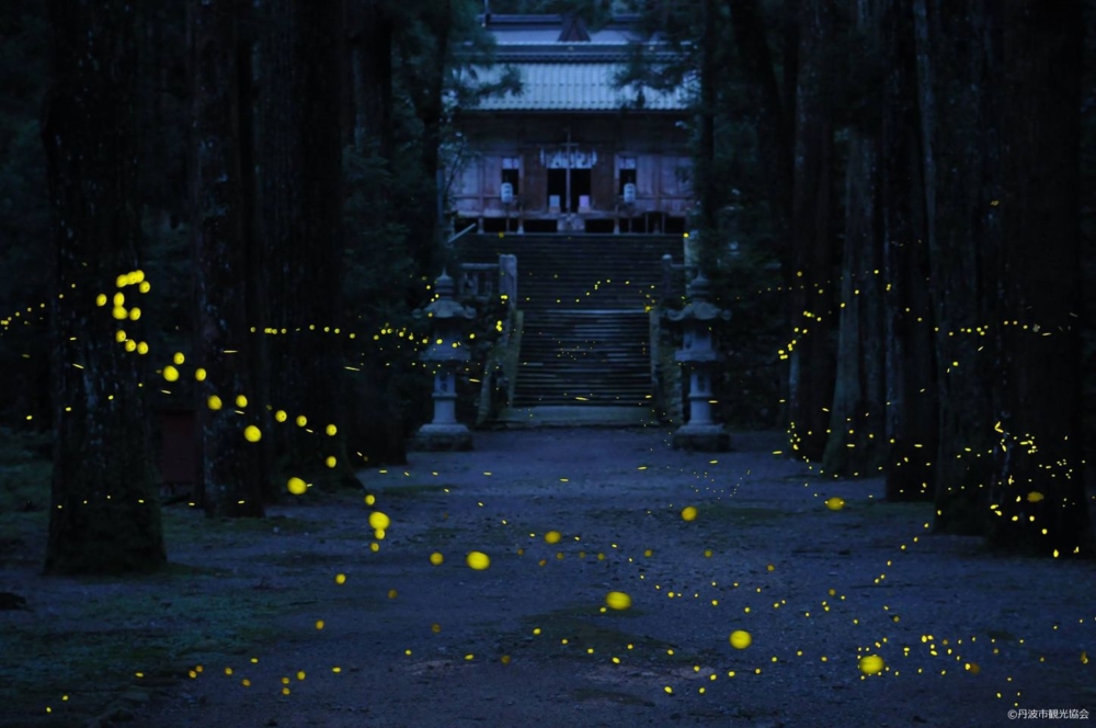 兵庫縣內尾神社。