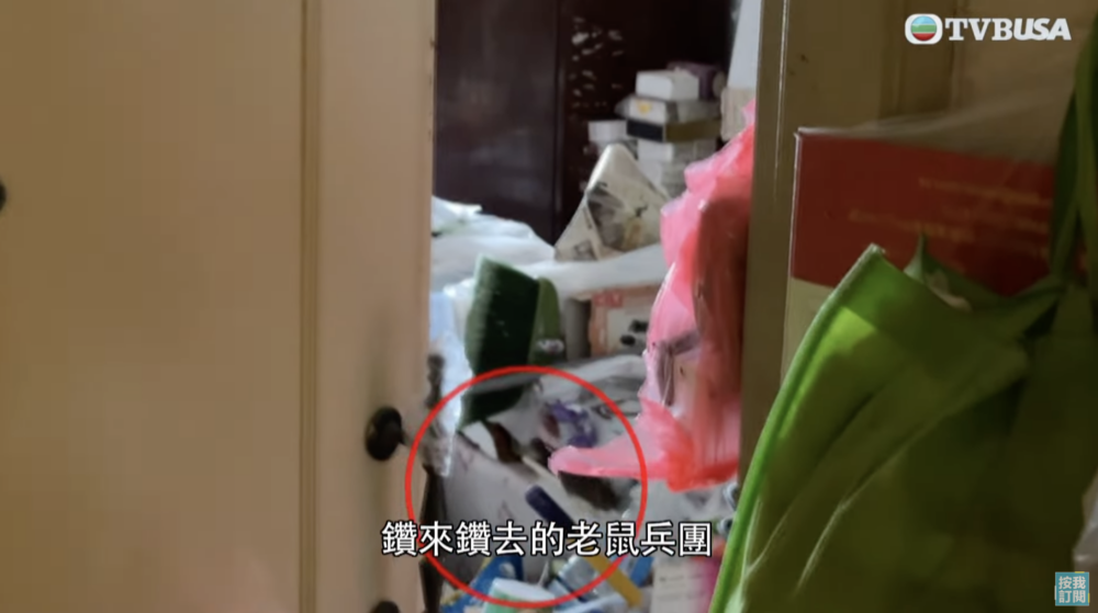 有大量的老鼠在屋內亂走