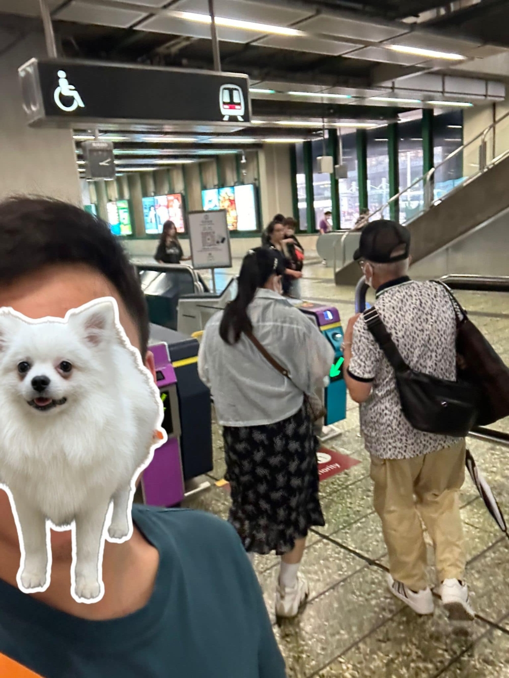 有網民於香港各地偶遇何伯何太