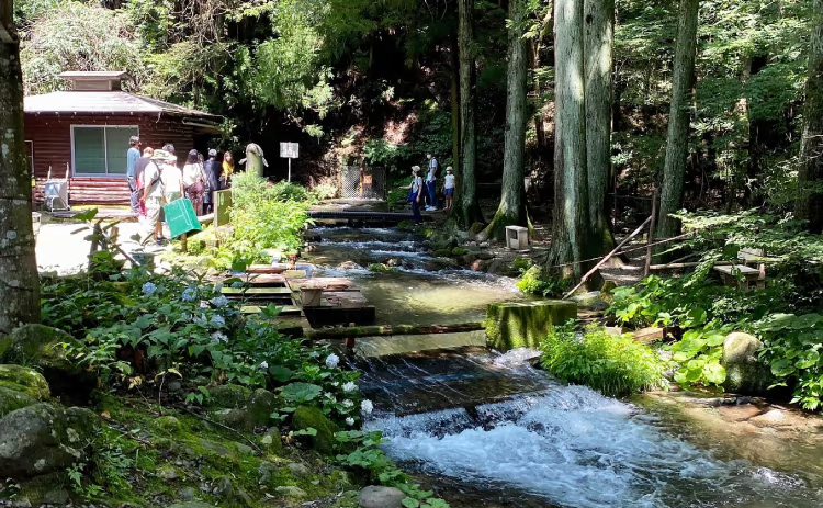 栃木縣那須魚樂園。