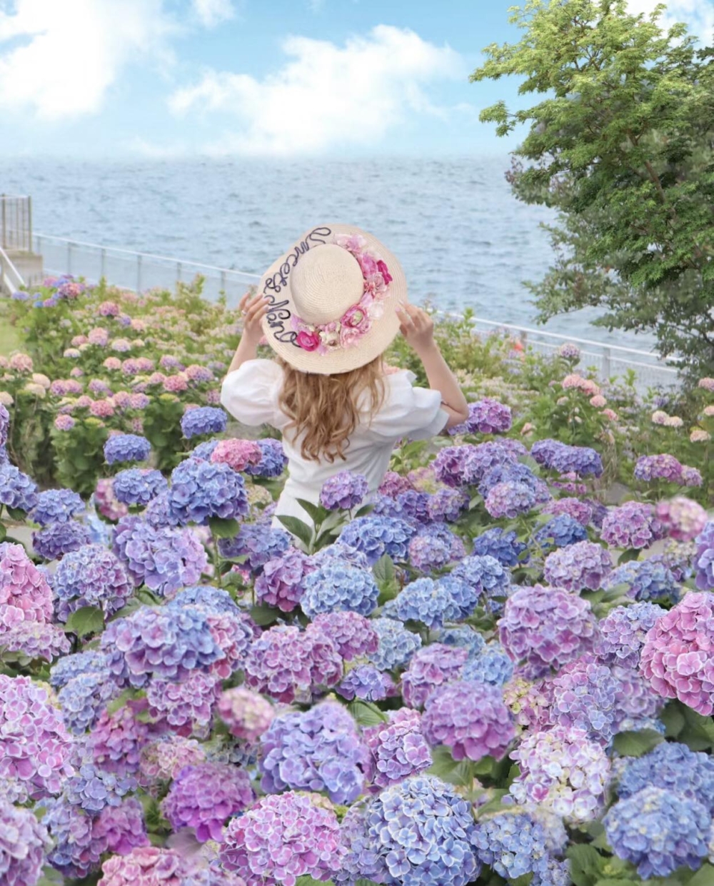 一次拍到繡球花、海景及船隻的同框畫面～