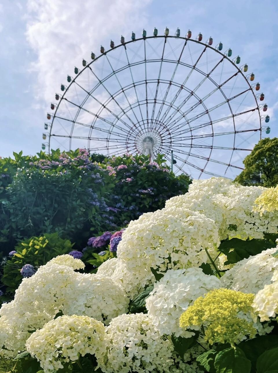 水之廣場公園。