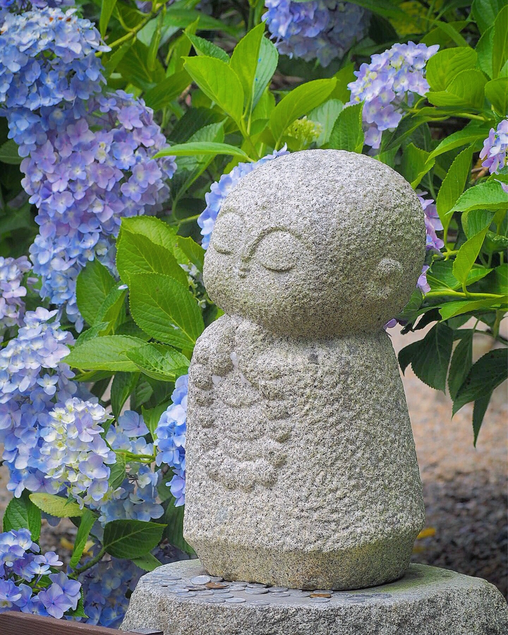 丹州觀音寺又稱「丹波繡球花寺」。