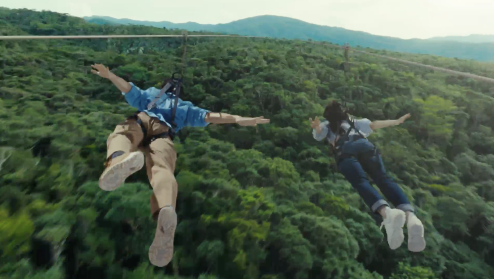 滑索能夠接觸到各種動植物，享受奇妙的大自然探險。 