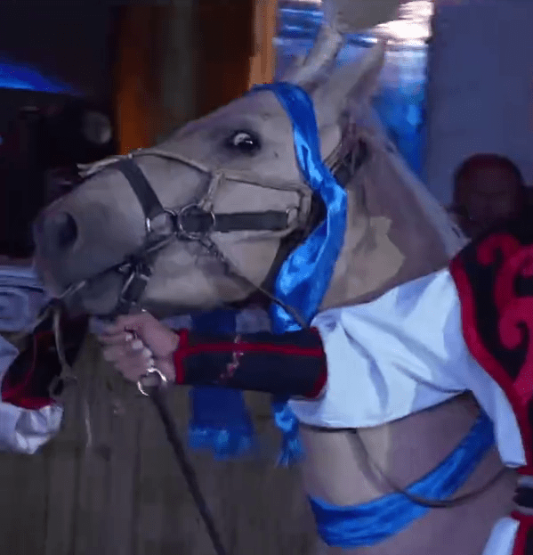 遊客抽中馬，沒有飼養條件，自願放棄時可選擇折現或選擇景區的其他旅遊產品