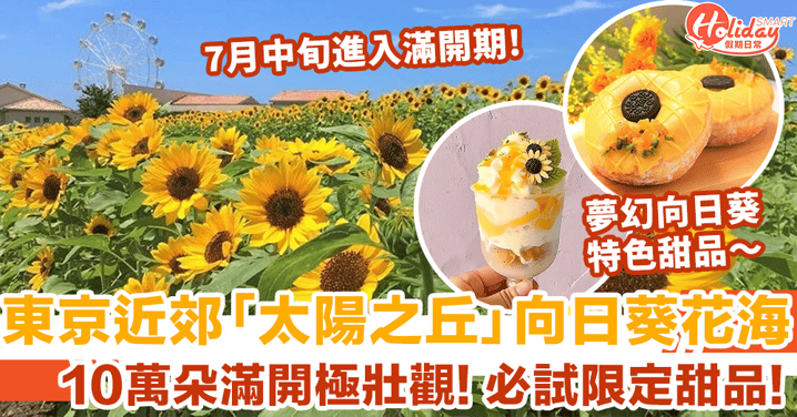 東京近郊「太陽之丘」10萬朵向日葵盛放 打卡金黃花海+品嚐限定夢幻甜品！