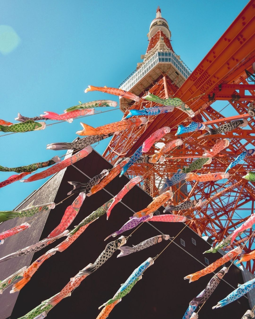 為了慶祝兒童的健康成長，街頭巷尾會掛上五彩繽紛的鯉魚旗