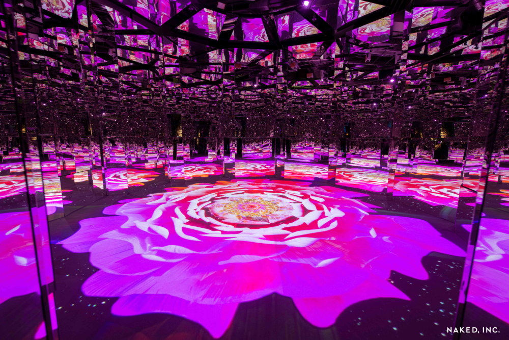 為慶祝暑假,學生一族可享門票買一送一優惠。