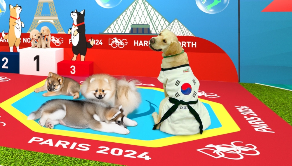 寵物運動嘉年華打卡位2｜毛孩跆拳擂台